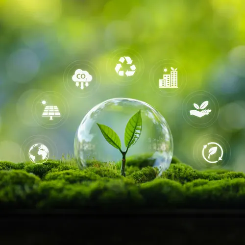 إعادة التدوير في السعودية